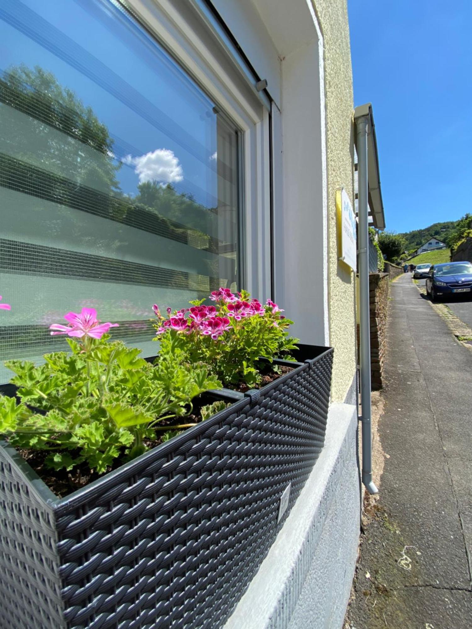 "Haus Bella" Apartment Cochem Exterior photo